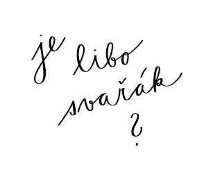 Pertinger – prémiové sporáky na dřevo míří poprvé na český veletrh ForArch 2025 6 je libo svarak